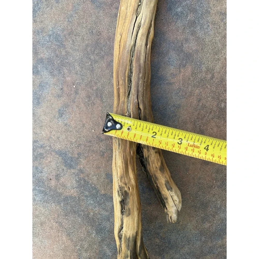 Natural Driftwood for Plants Terrarium Taxidermy Art Projects